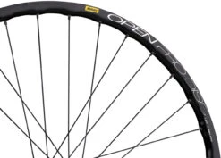 Delux 12 + Open Pro UST Disc + Sapim Race 28" Laufrad -Fahrradzubehör Geschäft 210125