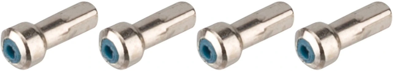 Campagnolo® Zonda C17 Ersatzspeichen Ab Modell 2016 4 Campagnolo® Zonda C17 Ersatzspeichen Ab Modell 2016 – Bild 4