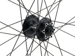 Mountain Alivio Disc 6-Loch DT Swiss 466d 29" Laufradsatz -Fahrradzubehör Geschäft 399633